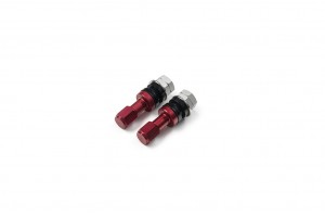 V21R Valve Stem