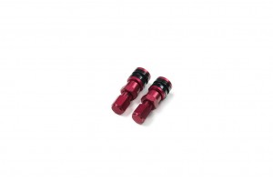 V29R2 Valve Stem